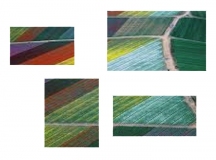 Beautiful Fields: Projects